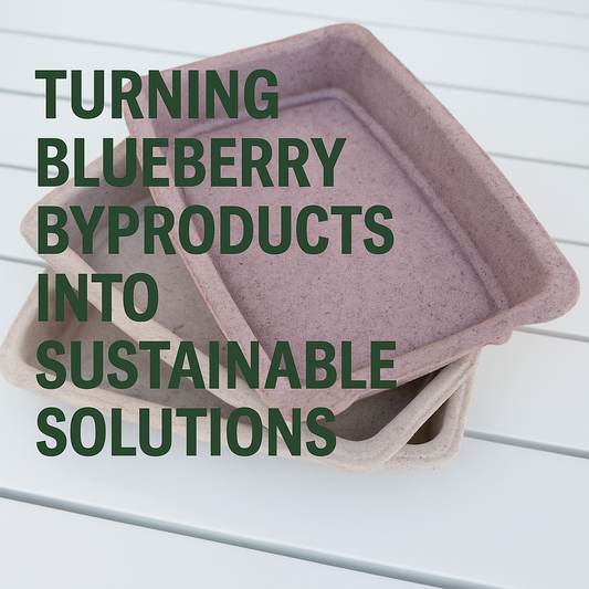 From Blueberries to Biodegradables: How NZ’s Agricultural Waste is Shaping a Greener Future — and Why Tiaki Life is Proud to Be Part of It
