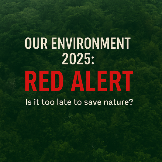 Our Environment 2025: Why New Zealand’s Red Alert Is a Call to Action — and How Tiaki Life Is Responding