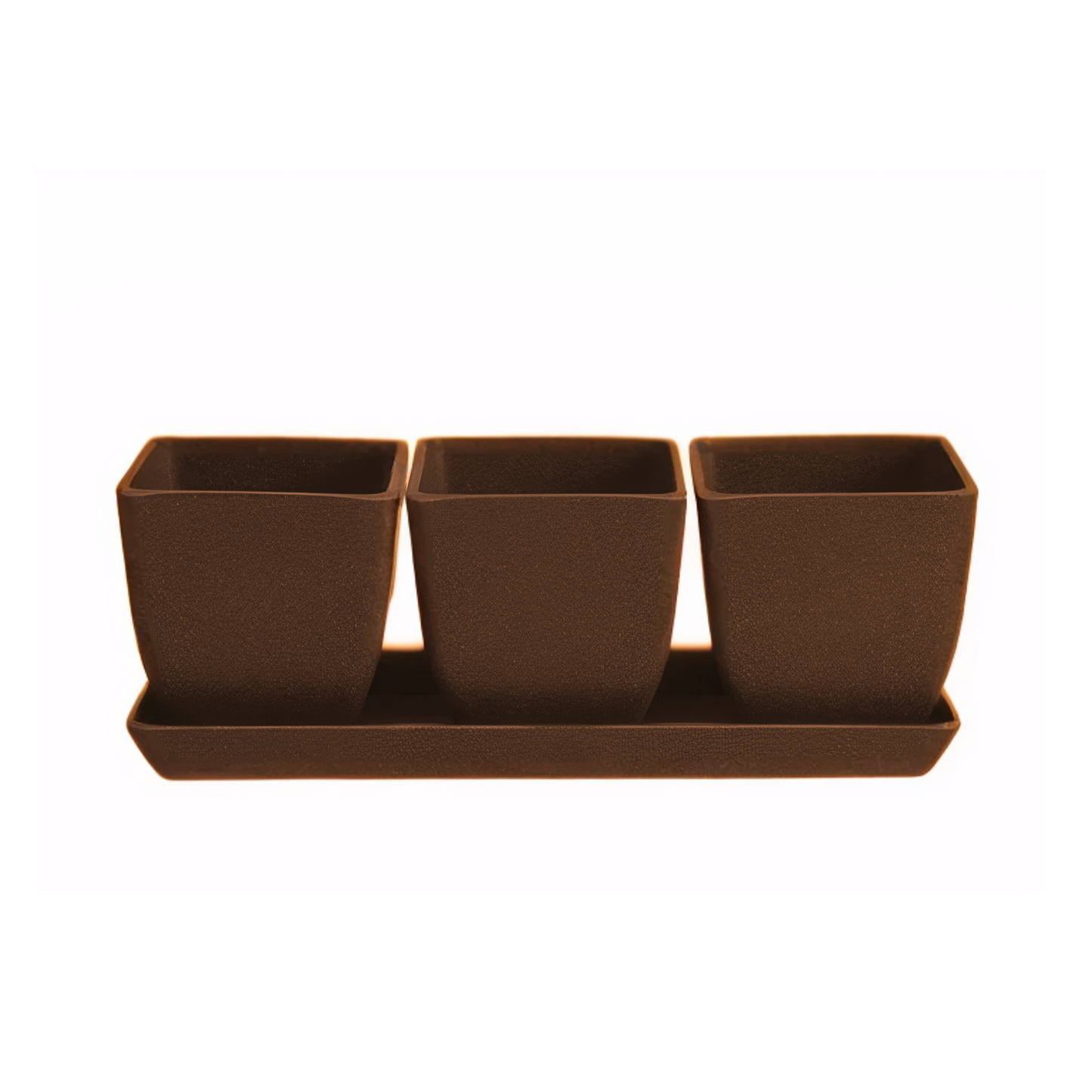 Waikato - 26cm Biodegradable plant pots