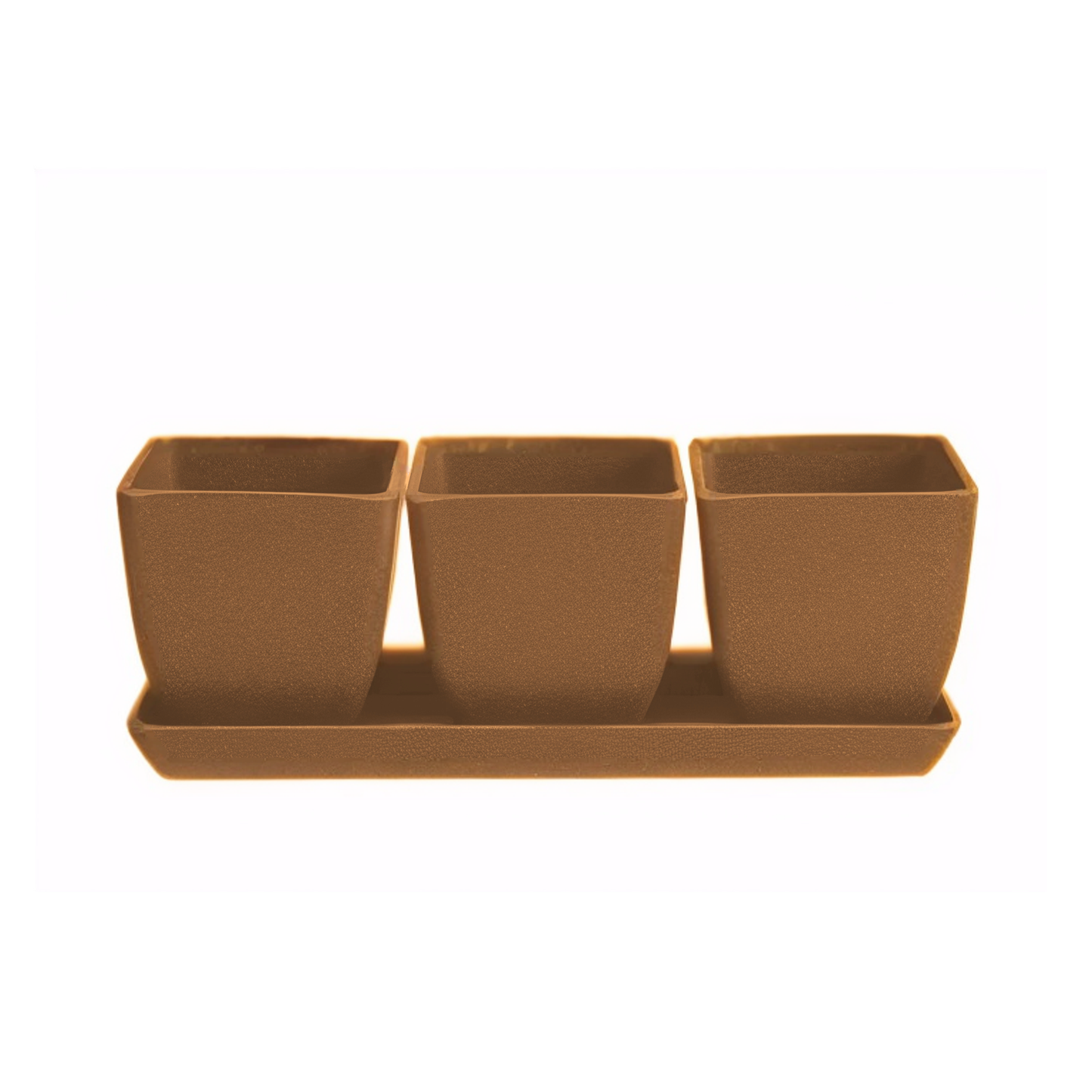 Waikato - 26cm Biodegradable plant pots