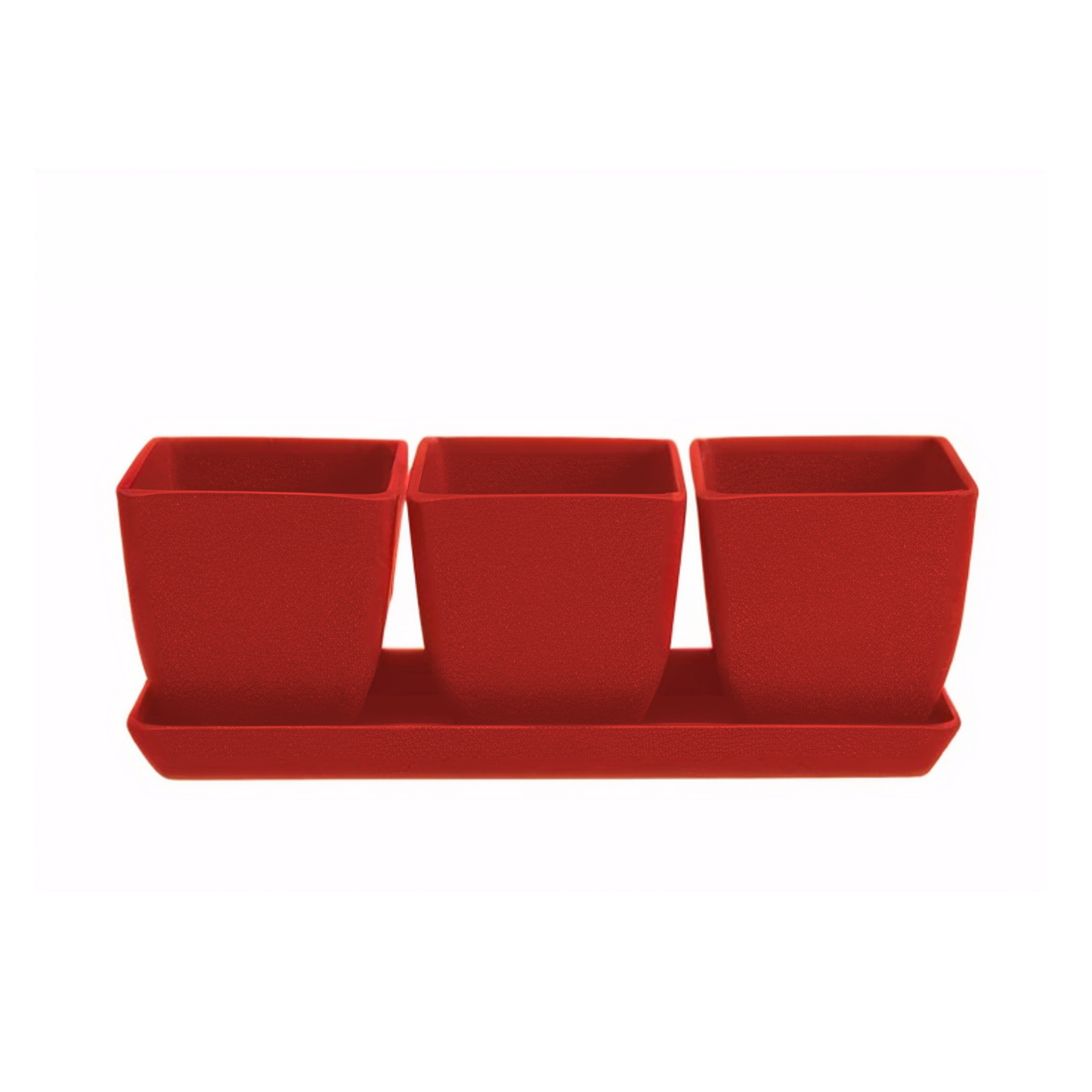 Waikato - 26cm Biodegradable plant pots