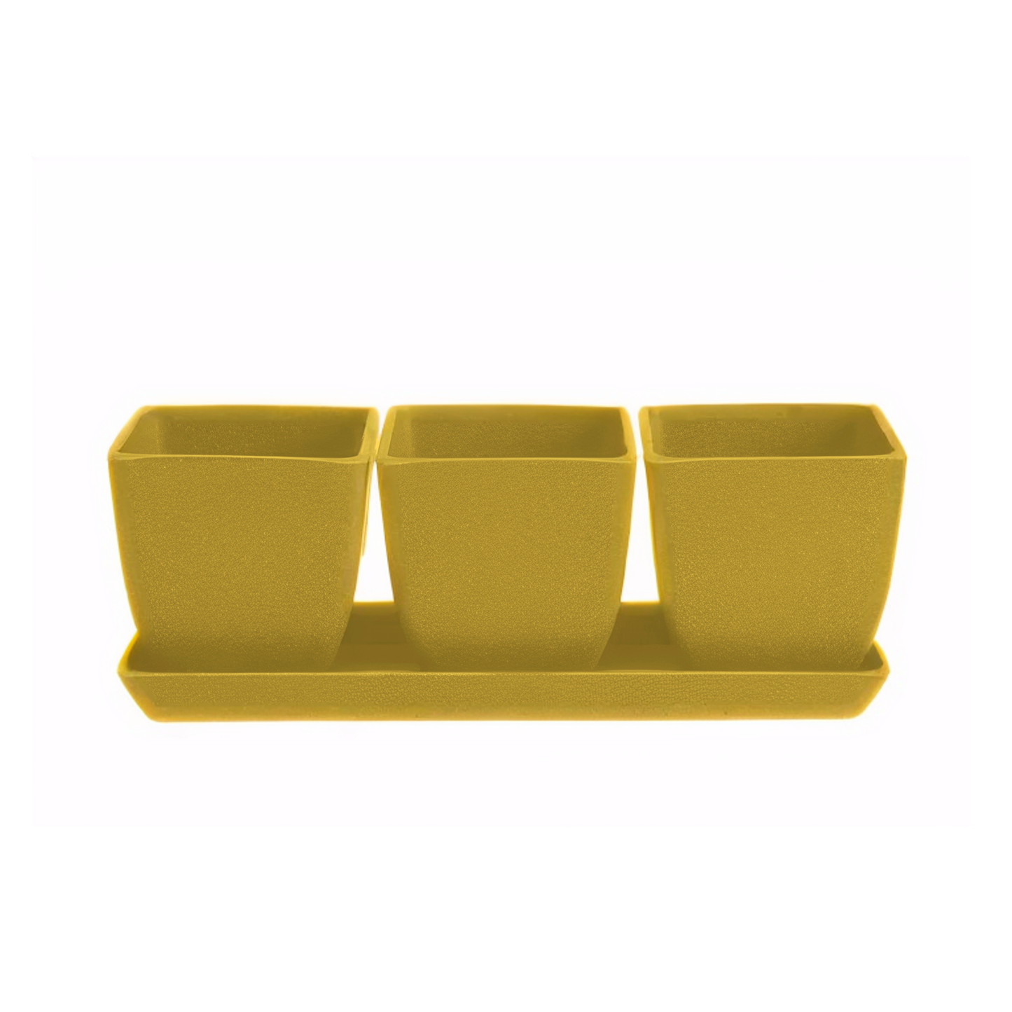 Waikato - 26cm Biodegradable plant pots