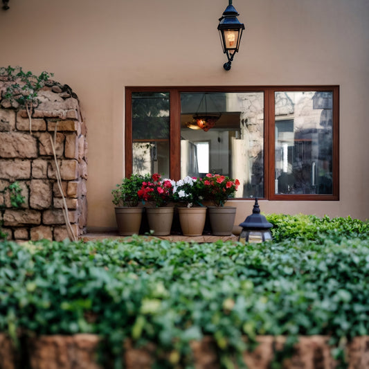 10 Simple Garden Swaps for a More Sustainable Backyard