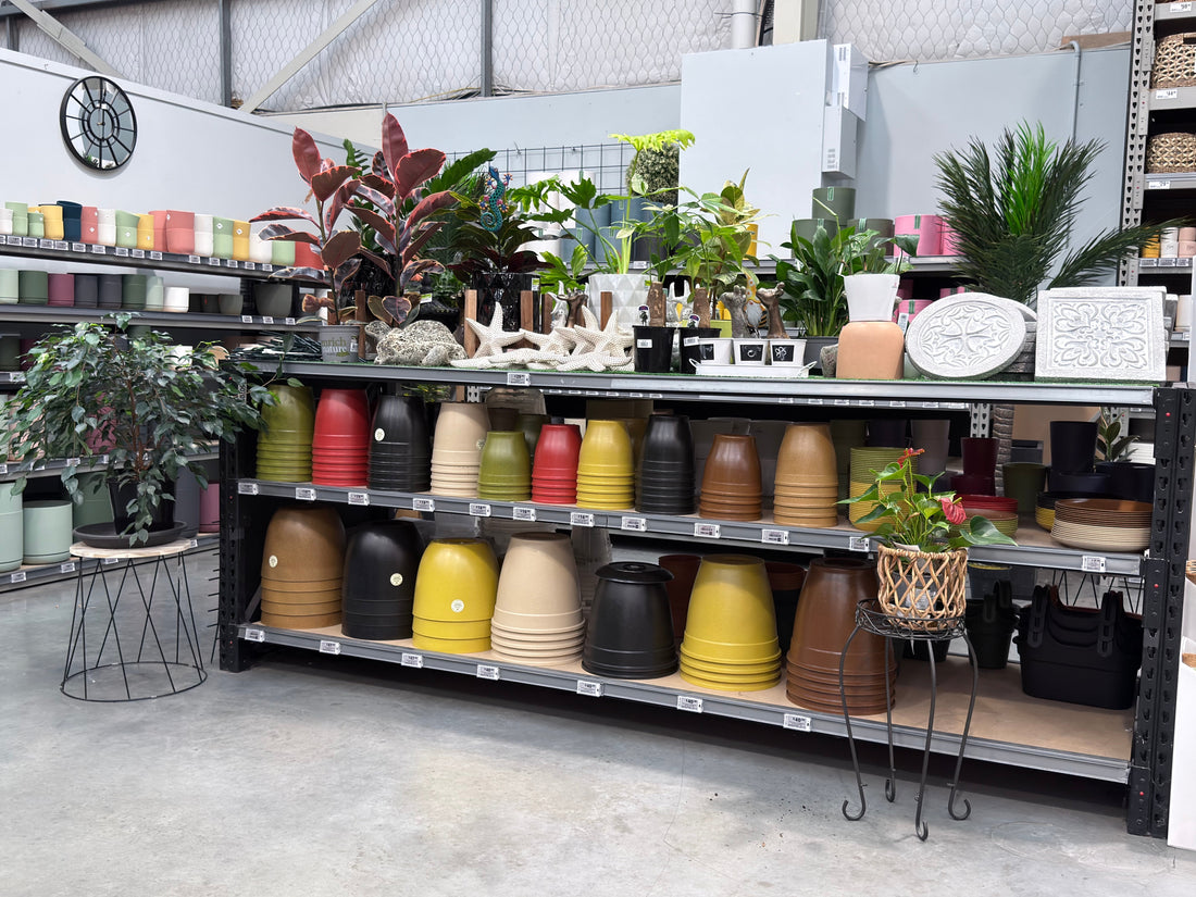 Why More Customers Are Choosing Biodegradable Plant Pots — And What It Means for the Future