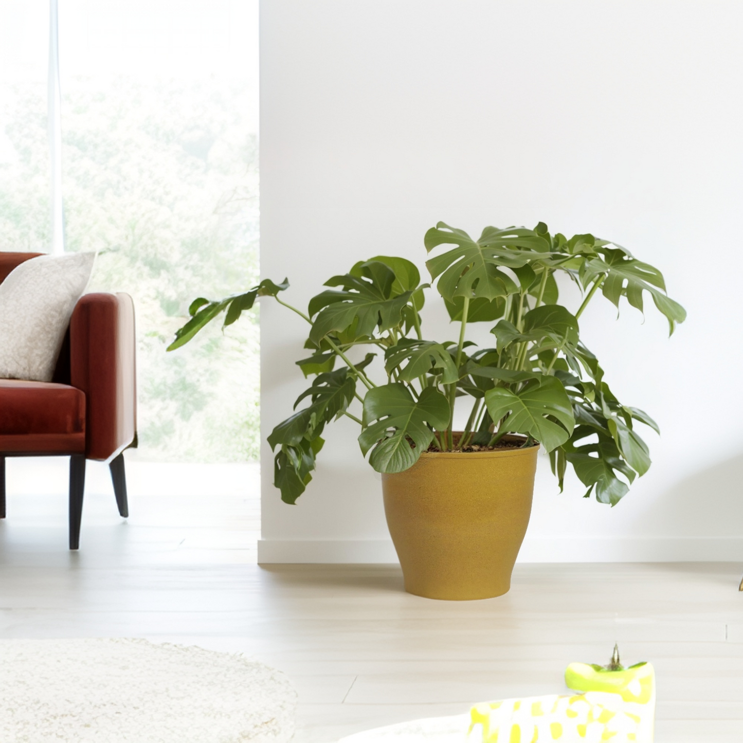 Canterbury 15-30.5cm Biodegradable plant pots