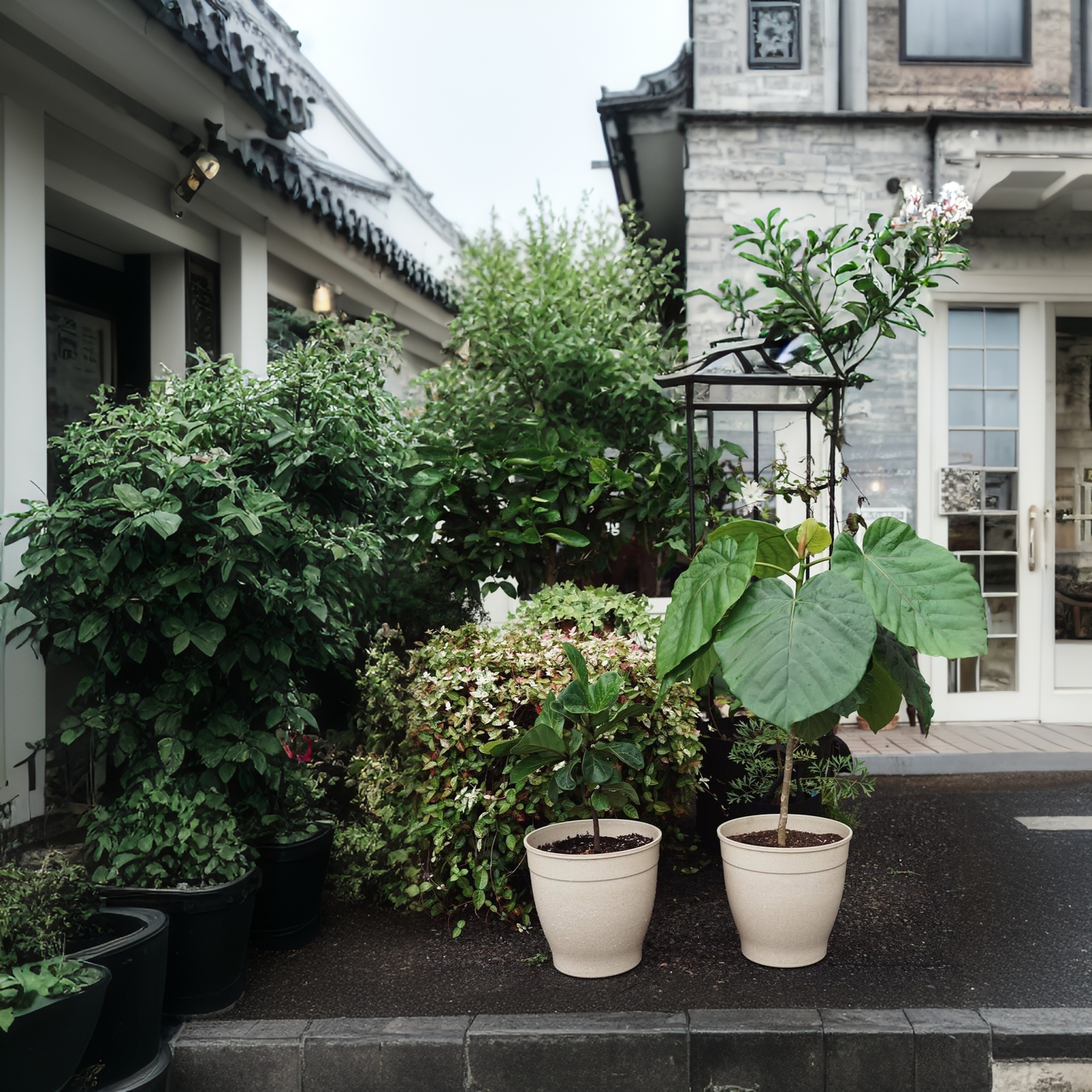 Canterbury 15-30.5cm Biodegradable plant pots