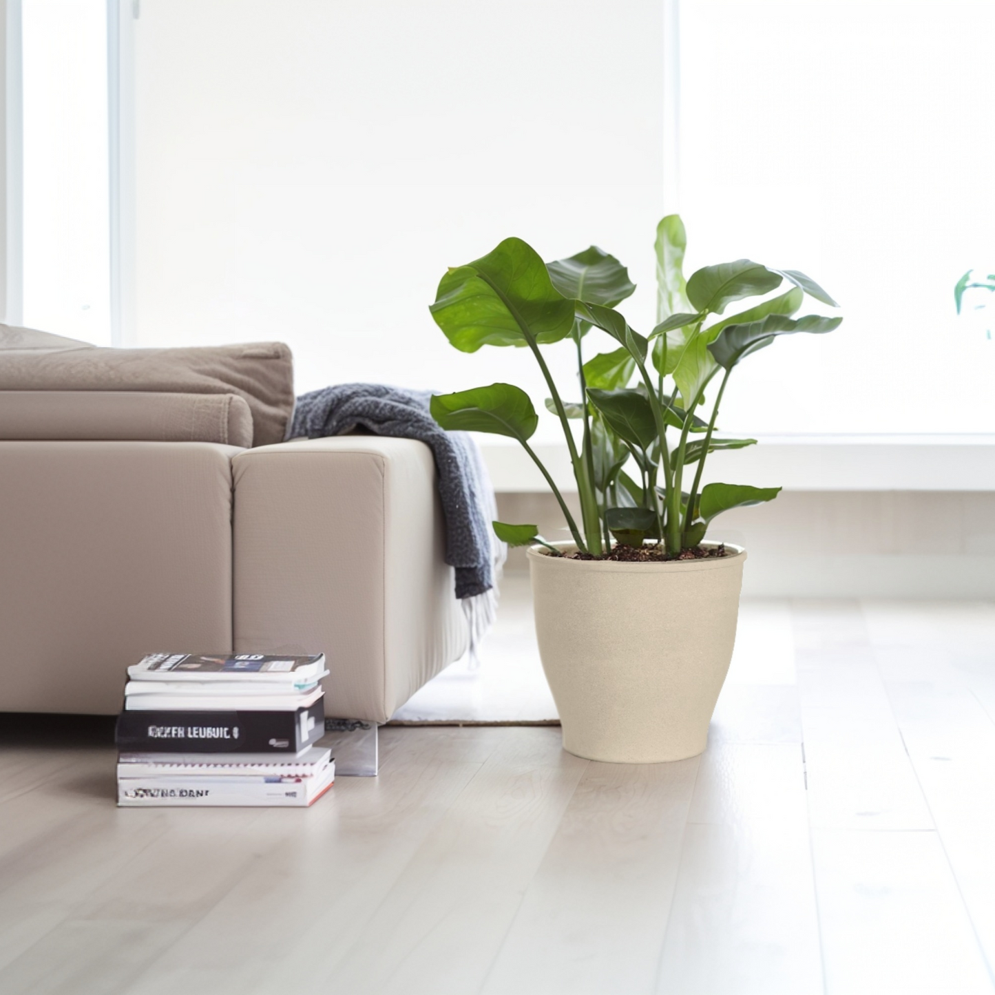 Canterbury 15-30.5cm Biodegradable plant pots