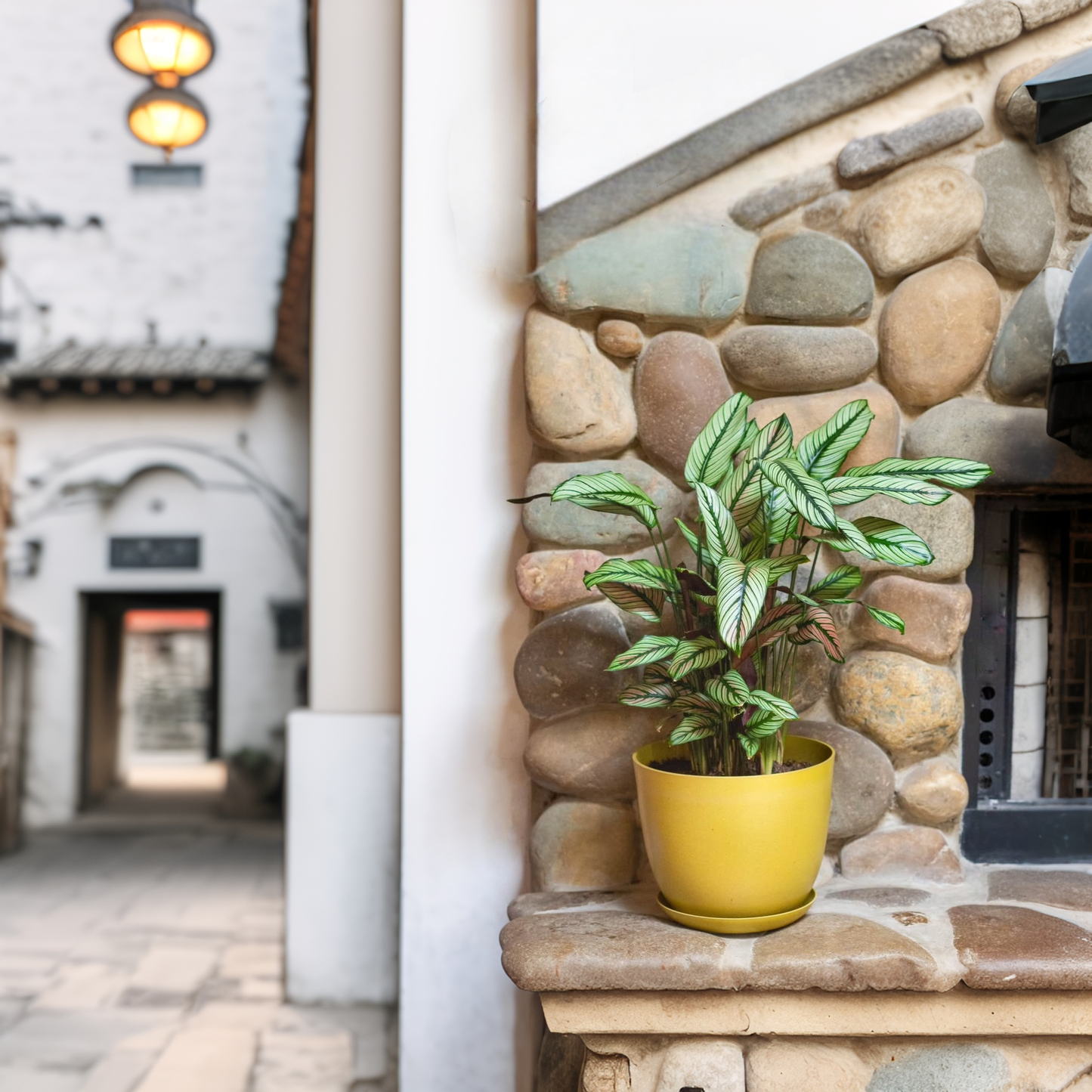 Southland 30cm Biodegradable plant pots