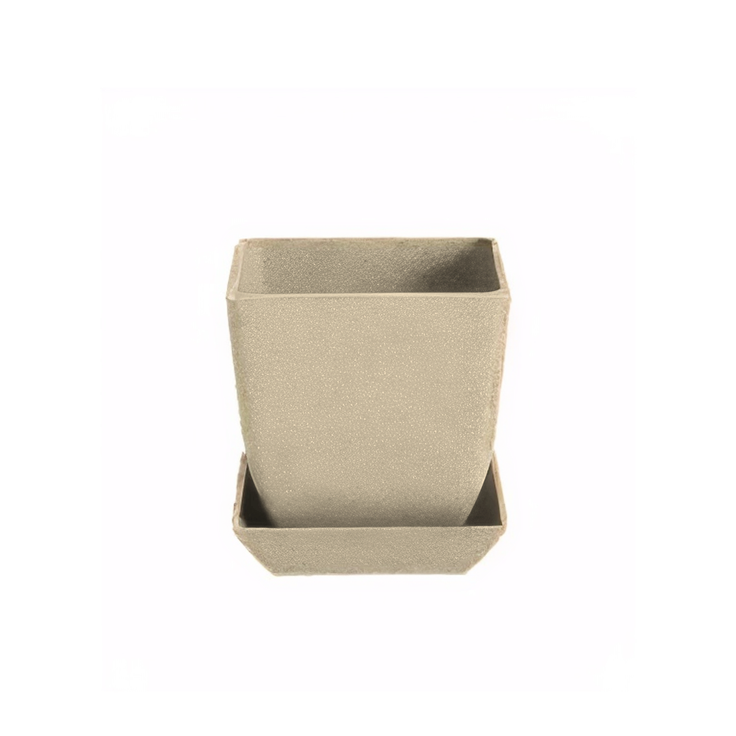 Tasman - 8.7cm square Biodegradable plant pots