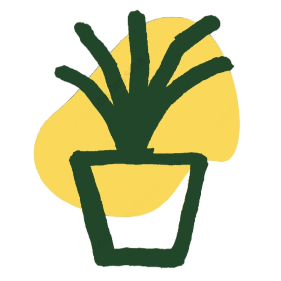 Tiaki Life | Eco Friendly Plant Pots