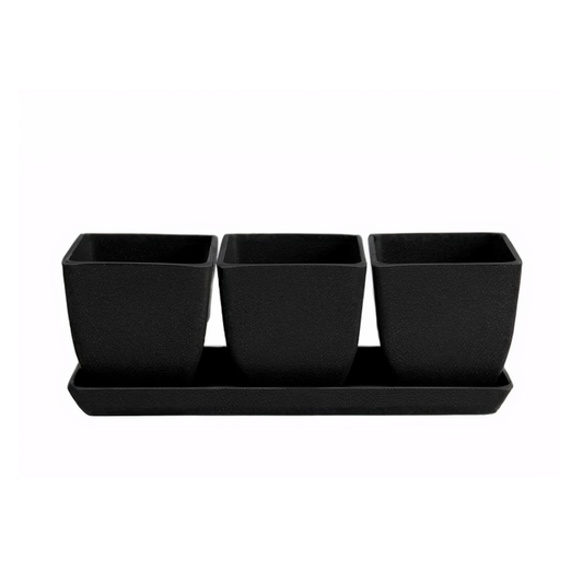 Waikato - 26cm Biodegradable plant pots