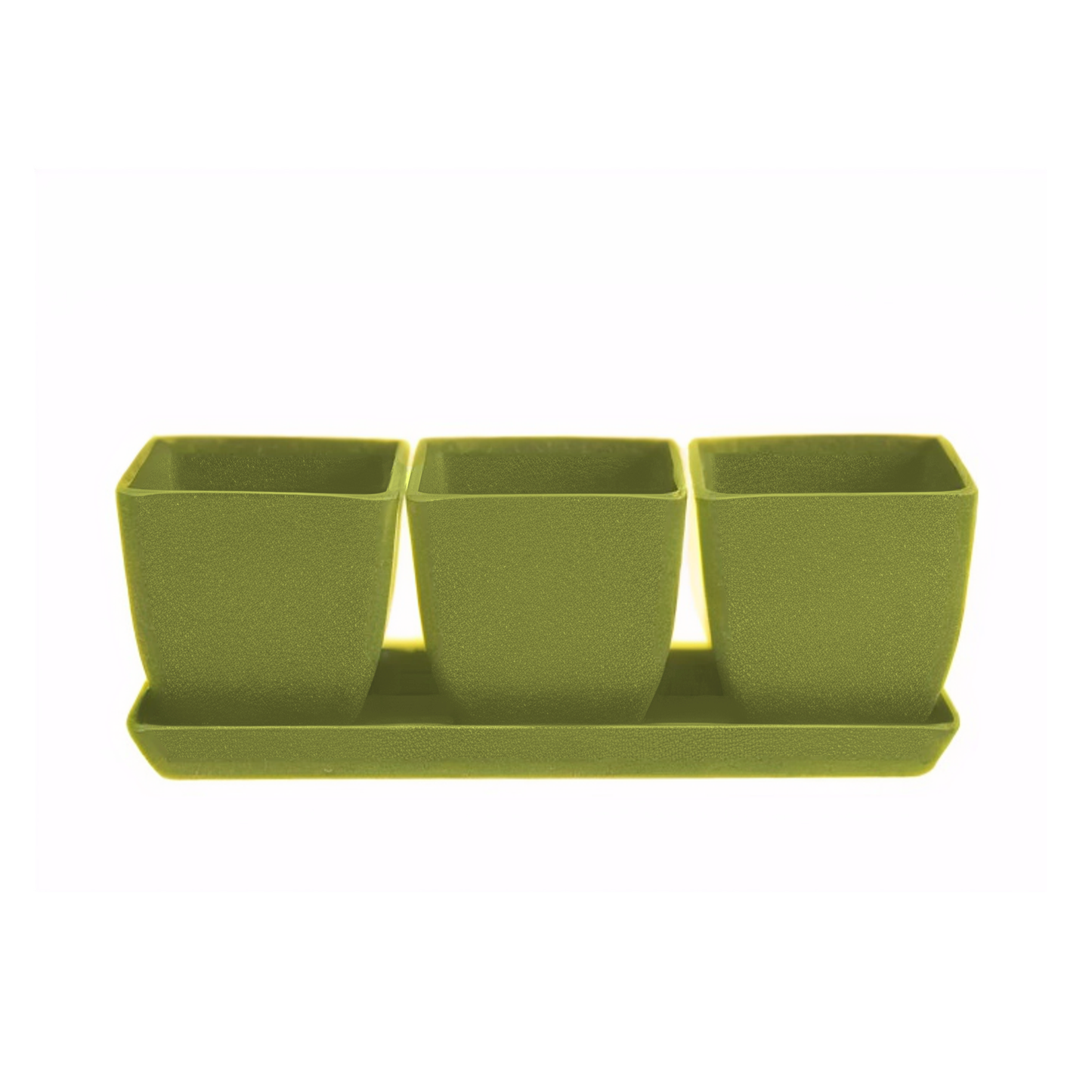 Waikato - 26cm Biodegradable plant pots
