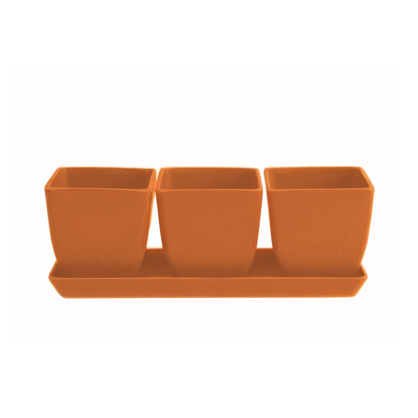 Waikato - 26cm Biodegradable plant pots