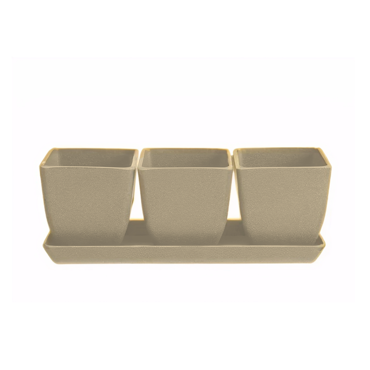 Waikato - 26cm Biodegradable plant pots