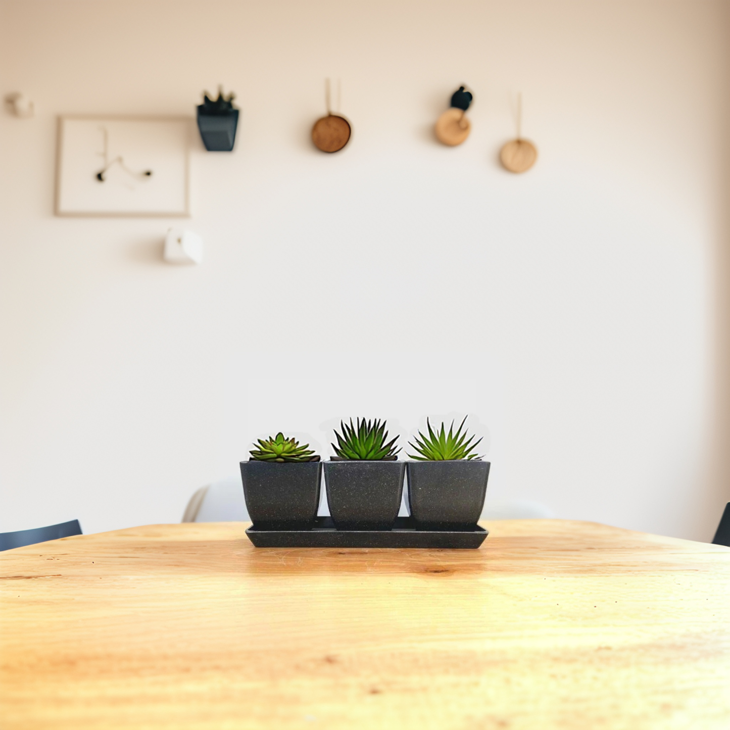 Waikato - 26cm Biodegradable plant pots