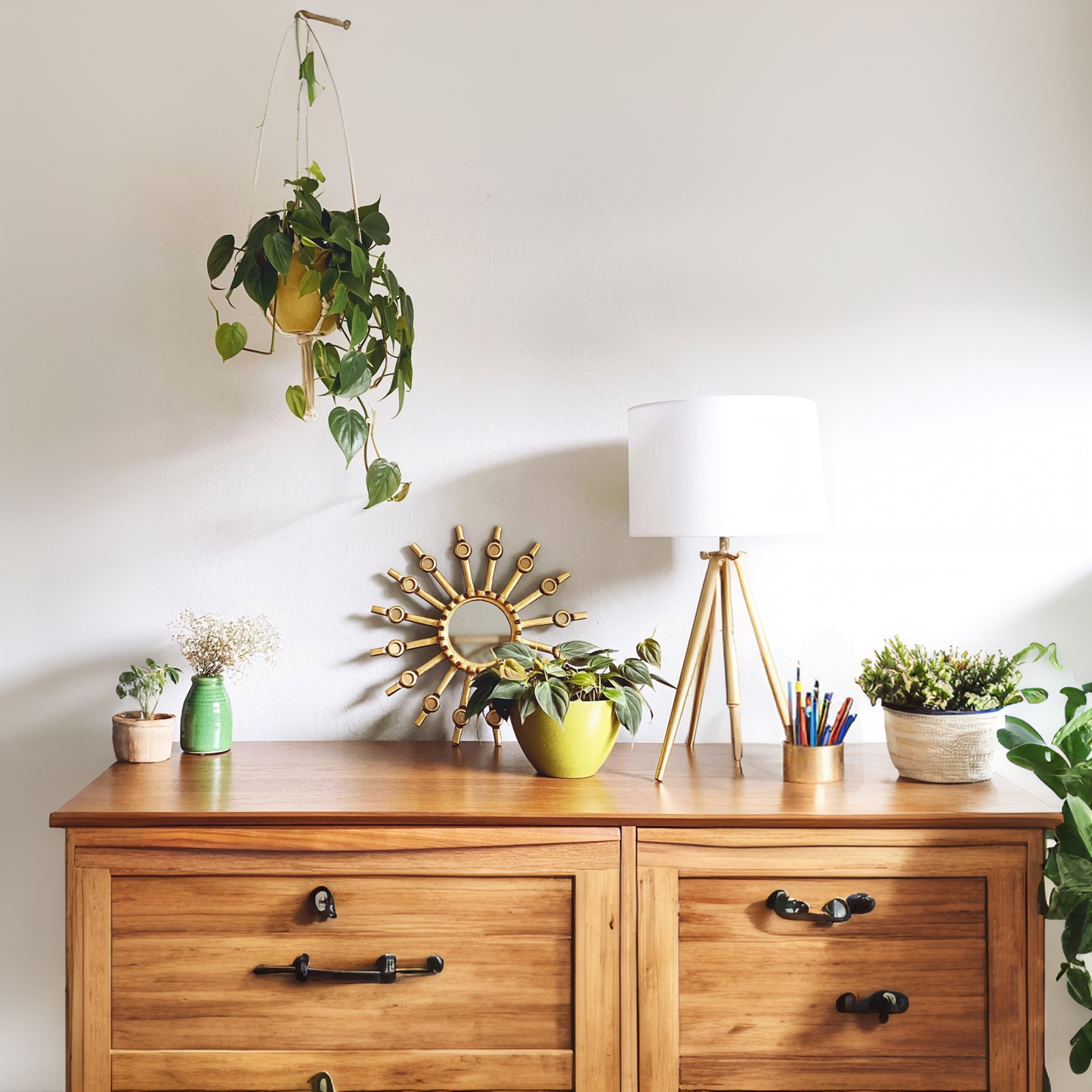 Wellington 17.8cm Biodegradable plant pots